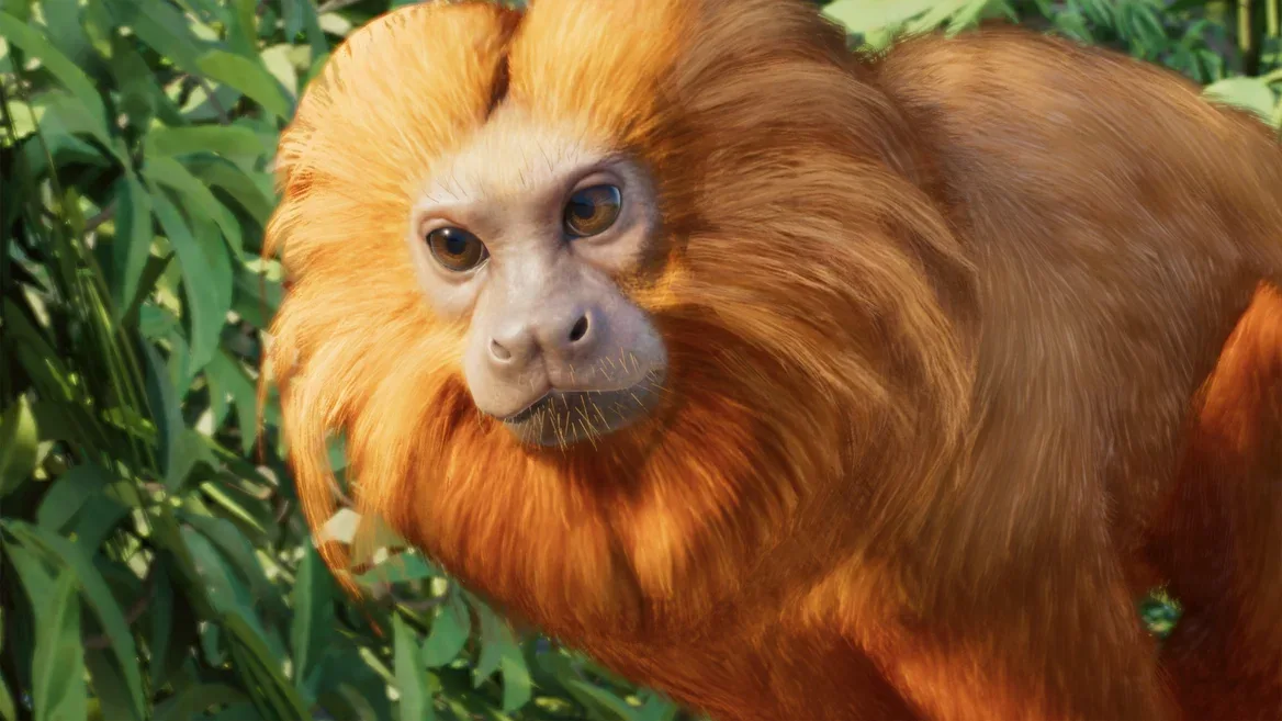 Golden Lion Tamarin in its Planet Zoo 2 habitat