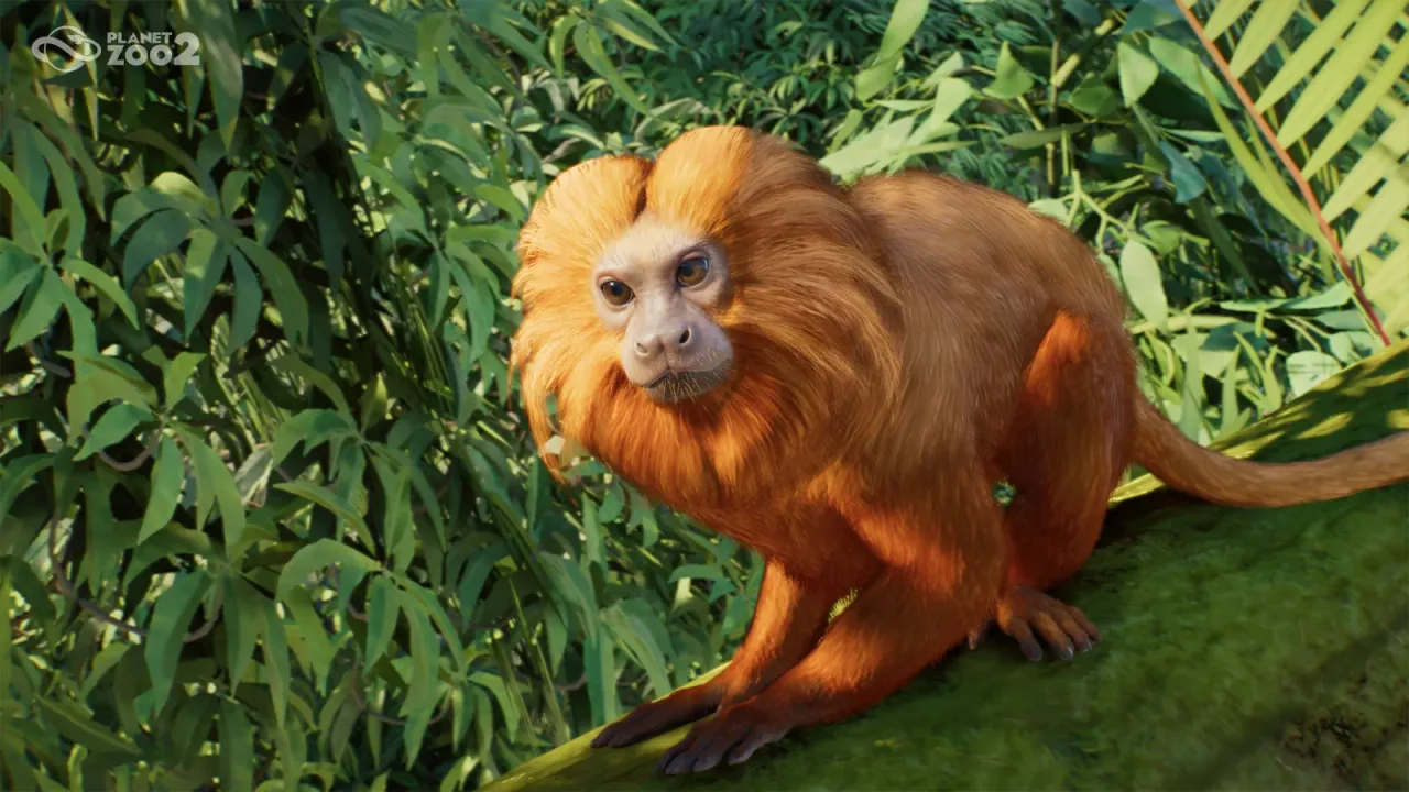Golden Lion Tamarin perched among foliage in Planet Zoo 2