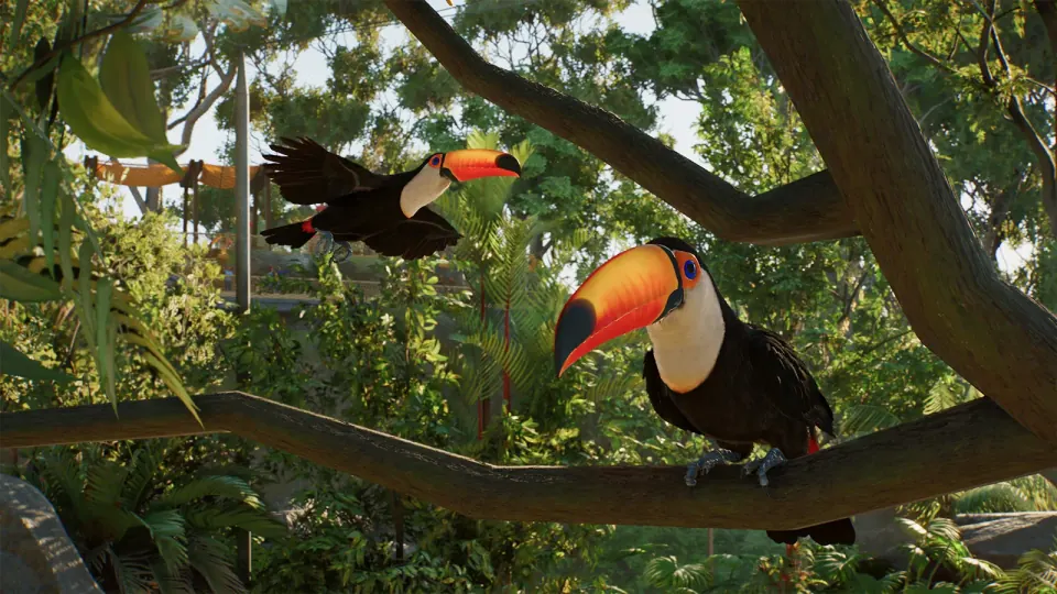 A flying and a perched Toco Toucan with aviary support poles and overhead mesh in Planet Zoo 2
